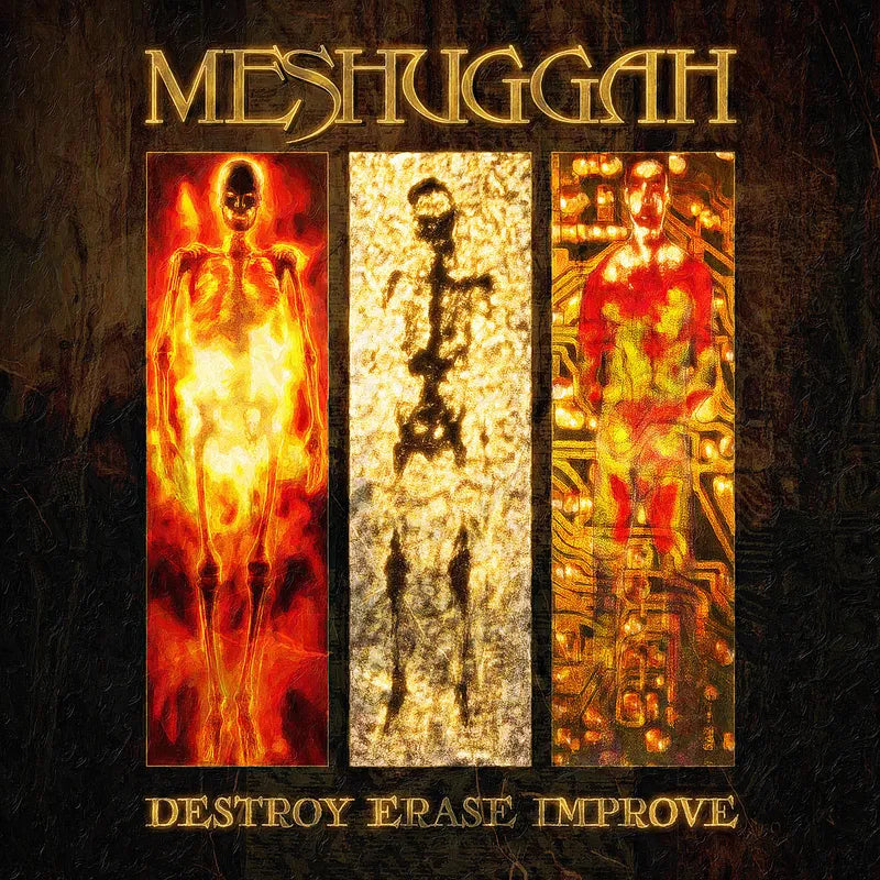 Meshuggah - Destroy Erase Improve
