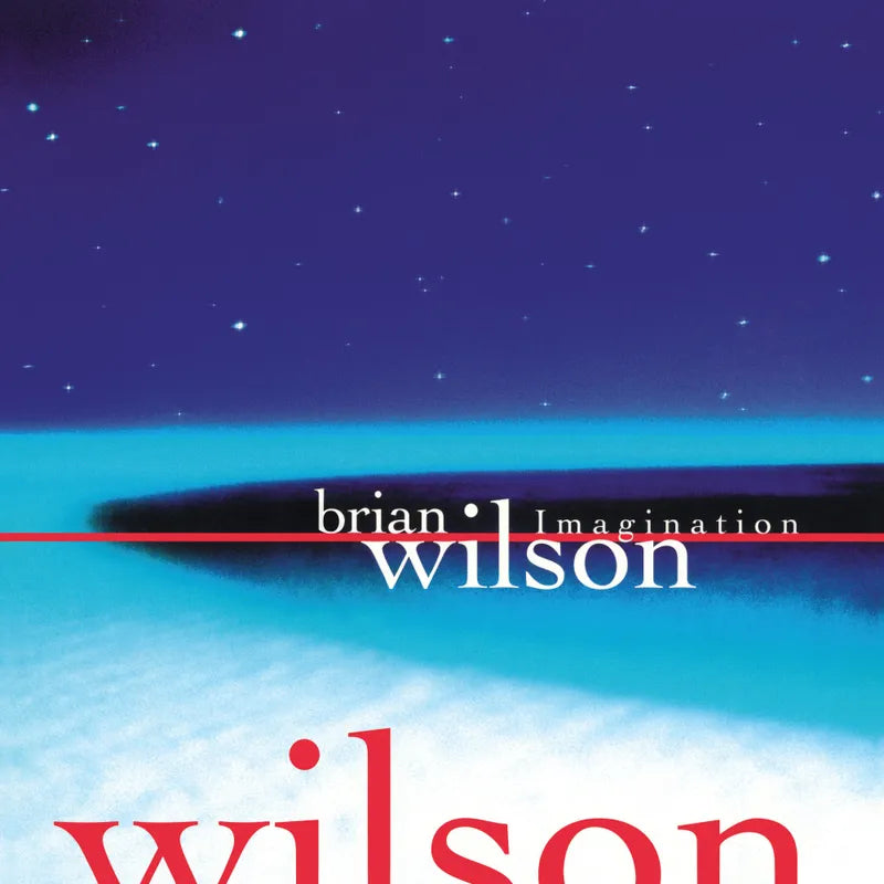Brian Wilson - Imagination