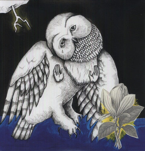Songs: Ohia - The Magnolia Electric Co.