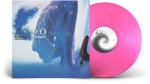 Fleshwater - 2000: In Search Of The Endless Sky