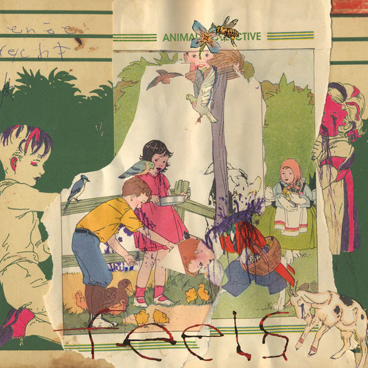 Animal Collective - Feels