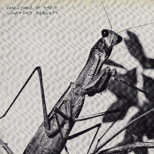 Courtney Barnett - Creature of Habit
