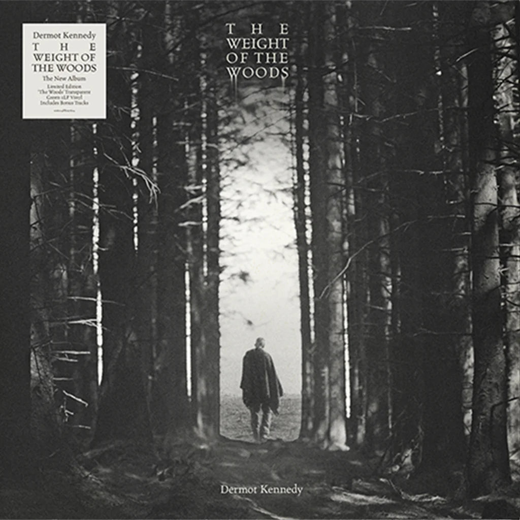 Dermot Kennedy - The Weight of the Woods