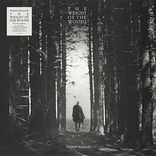 Dermot Kennedy - The Weight of the Woods