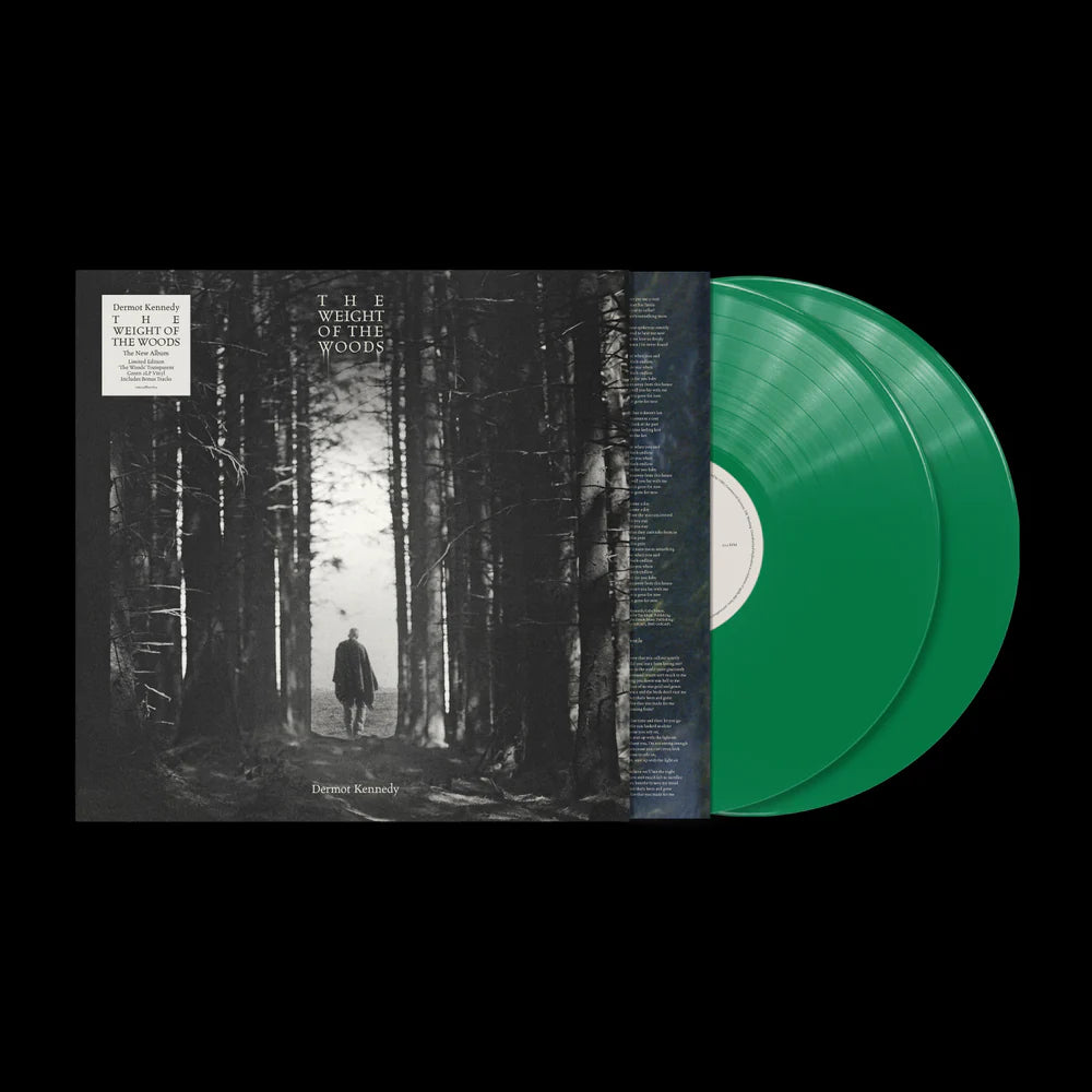 Dermot Kennedy - The Weight of the Woods