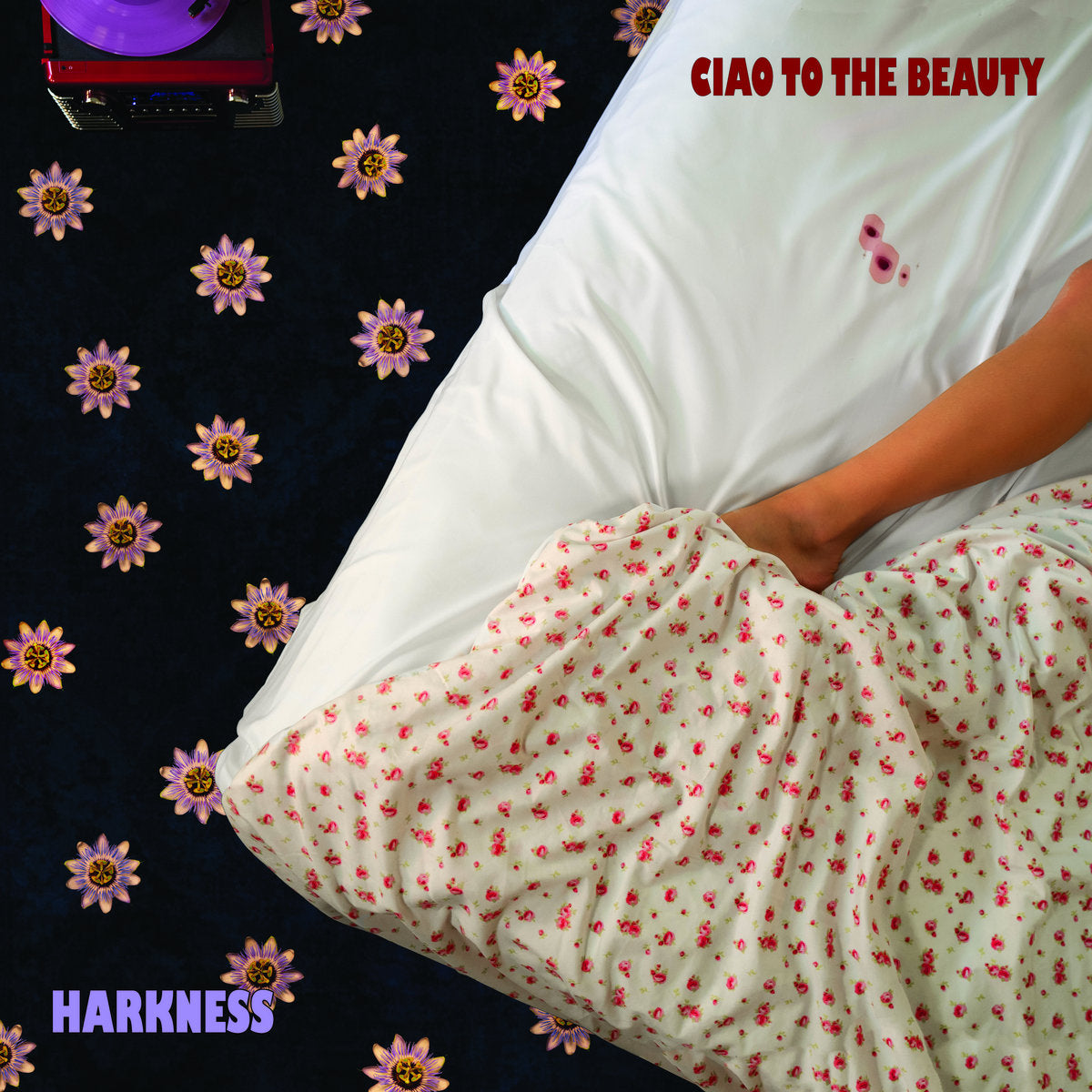 Harkness - Ciao to the Beauty