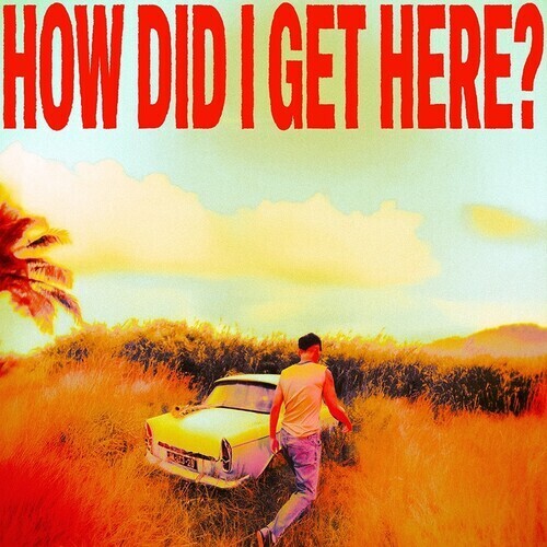 Louis Tomlinson - How Did I Get Here?