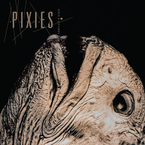 Pixies - Complete B Sides: 1988-1997